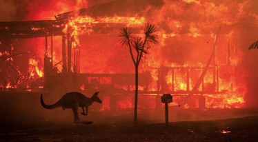 Giữa thảm họa cháy rừng tràn lan tại Úc, một người Việt Nam lại bị bắt quả tang đang nhóm lửa trong rừng