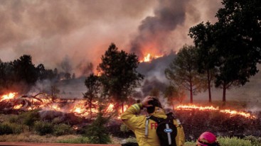 Tình hình cháy rừng tại California
