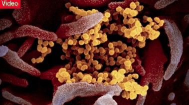 Tin mừng cho nhân loại trong trận chiến chống coronavirus đang loé lên từ California