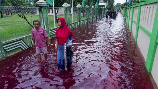 Thực hư câu chuyện Trận đại hồng thuỷ ngày tận thế và những trận mưa máu ở Indonesia