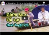 Vị Giám Mục Lội Lũ Lụt Quá tuyệt vời ở miền Trung, Đức Cha Phaolo Nguyễn Thái Hợp, Giáo Phận Hà Tĩnh